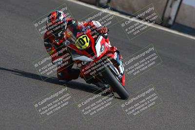 media/Oct-12-2025-CRA (Sun) [[e621380112]]/Races/Race 8/